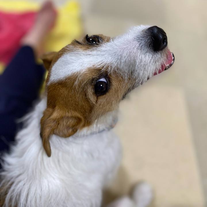 0471bc89 22a0 48d3 90cf e84d83de8c50 1699535766061