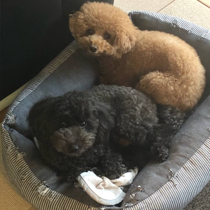 0471e341 9bd6 4721 b5be 422592e671f4 1600916350574