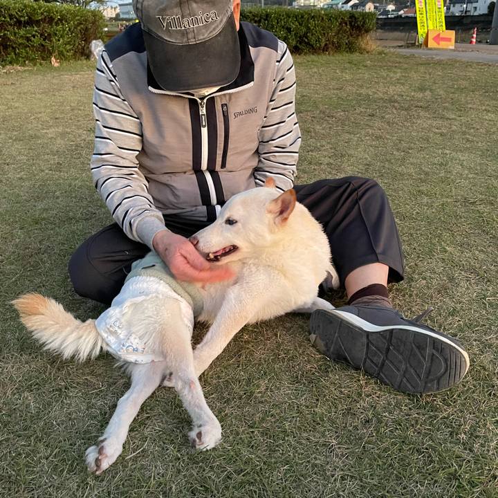 0471f0ee 0104 4d94 b63d b42532a764c6 1668509231328