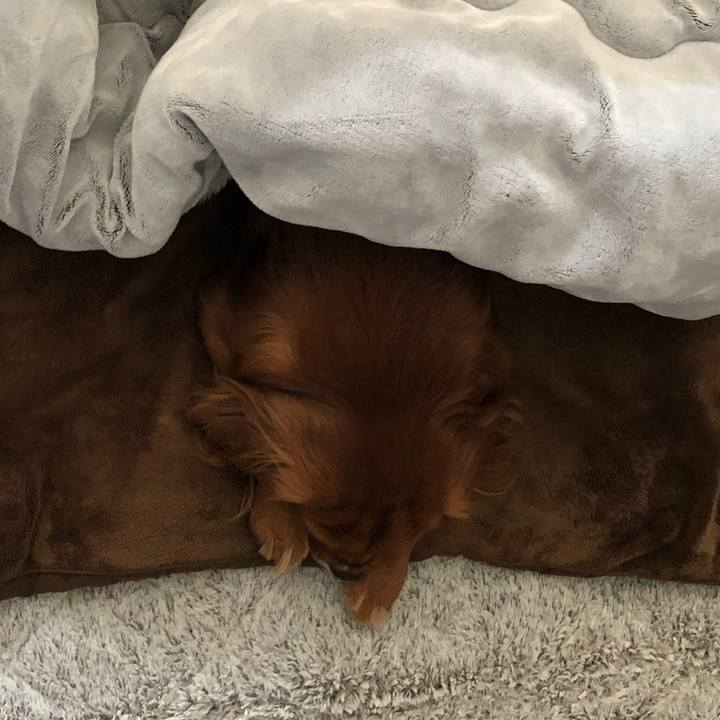 0471f9af 1ba9 4942 bb69 aeccea8d0b73 1581374290329