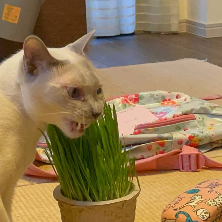 0471fa7f 9cfe 42ad 9ed0 ea44f1edc456 1736206763344