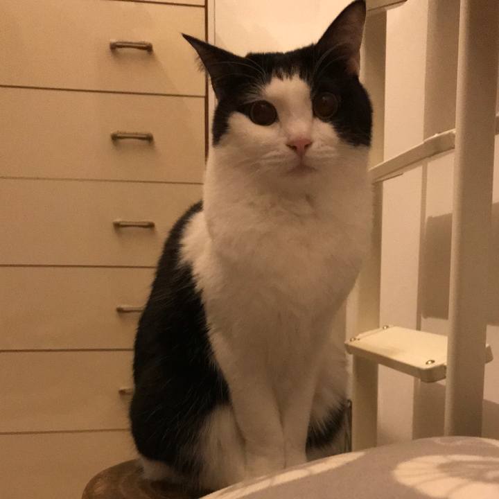 047252c6 a2c7 401b be9b cc37cddaa59a 1518269908693