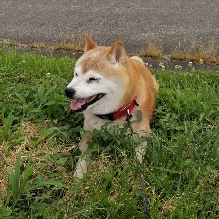 04727bbb 3aef 4245 bfb9 826352a2f94c 1722325044758