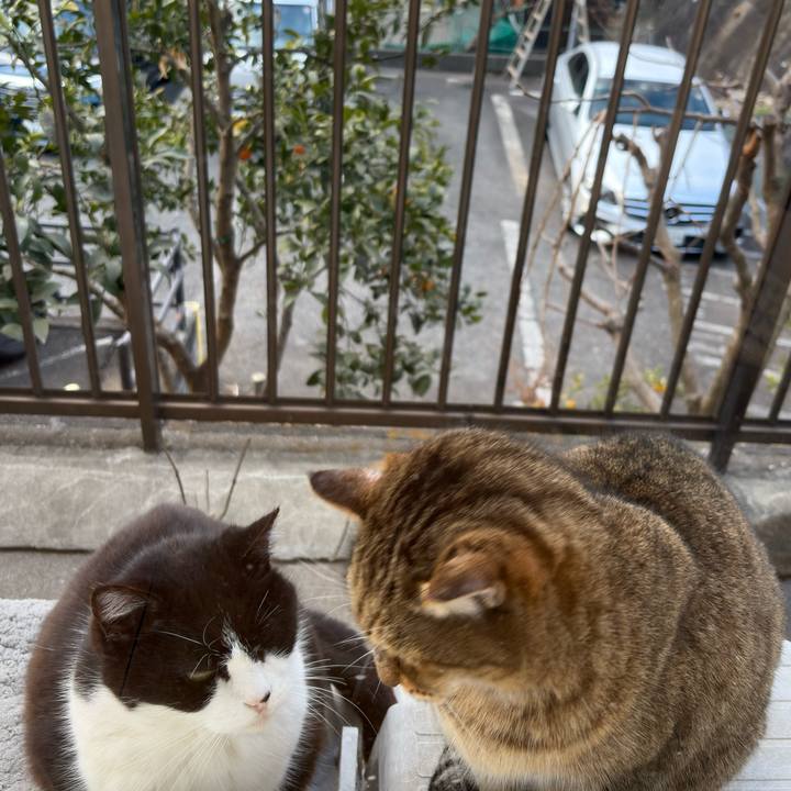 04729564 d23a 485e 8d93 da211b929508 1771383322857