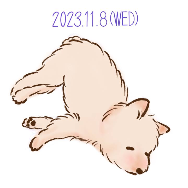 0472b8ad 6ddc 4fa6 b949 4a524293955c 1699444065231