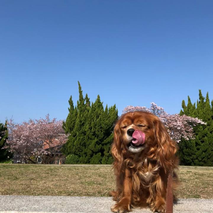 0472b97b 0acd 4100 bb51 8adf6f251cff 1649628456517