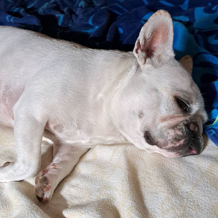 0472ea0e 964f 470a 932a fc3c17c082b5 1719140539424