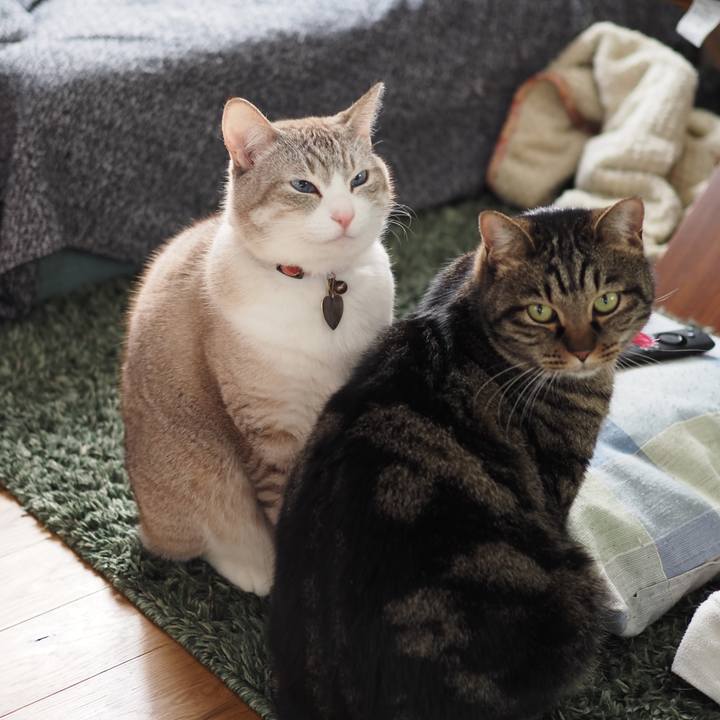 04730e22 e044 4a37 ac76 4eb62d1e139b 1611288210489