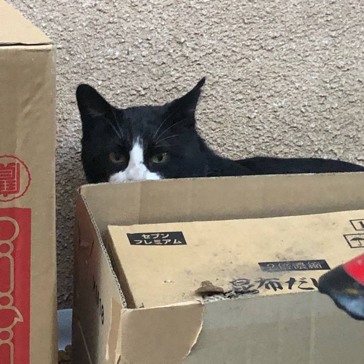 04731a6a 1a51 459d 9d50 6a882d6b0dc2 1518624220720