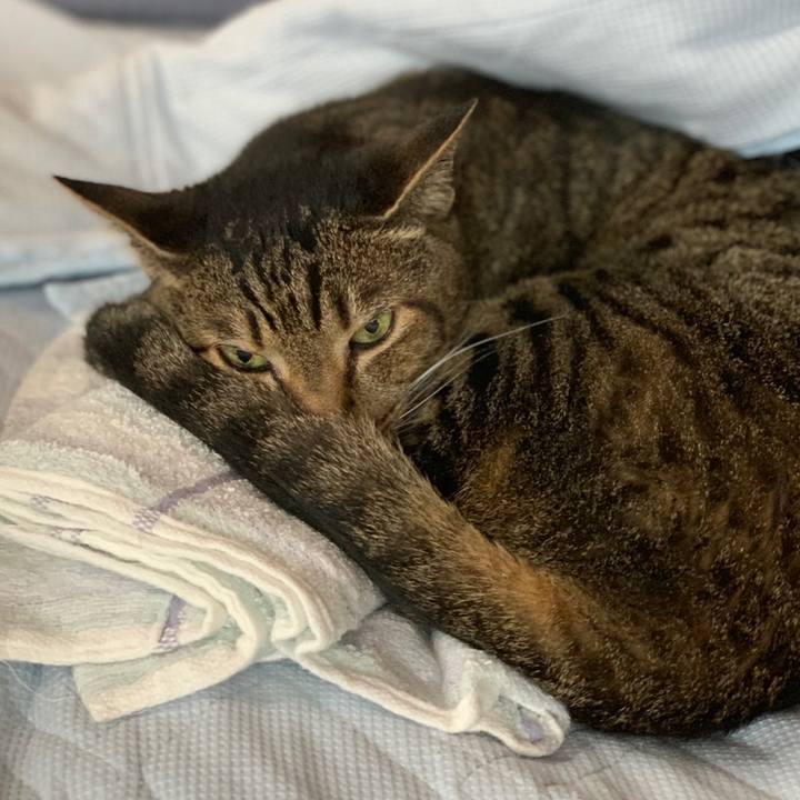 047322eb 96a2 417e bd50 0c63ac8b319e 1560471535299