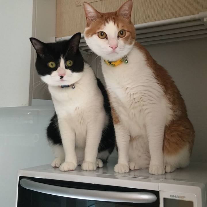 04732404 7215 45b5 8e1e b3a3215d2ec2 1525254595248