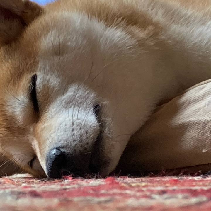 0473a8c5 f38f 4504 8947 77d01e04114a 1687156680890