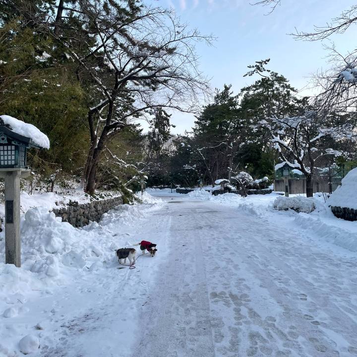 0473d404 865b 4674 bcbb 932137c9f059 1769467568840