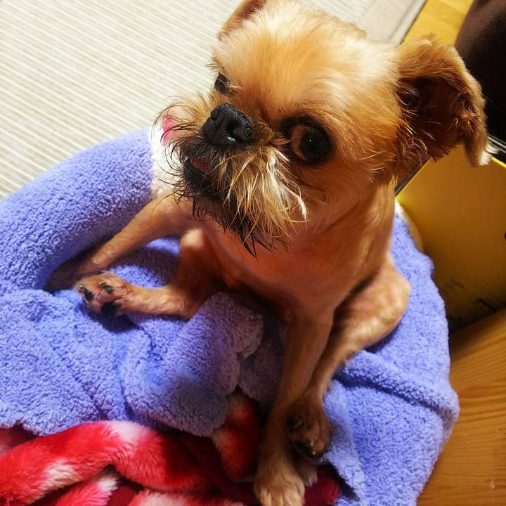 0473fc5e 2988 41d4 b88c 8fd487ad5882 1593074730169