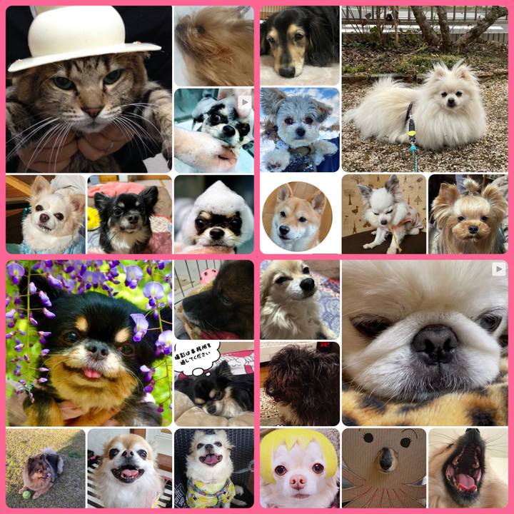 047404aa 3ef2 4500 b547 0e44f056bc62 1676758768503