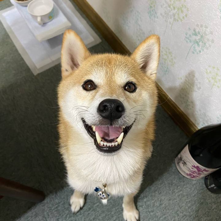 047421c7 f67b 4cdc 87d2 3e233648e261 1639491074096