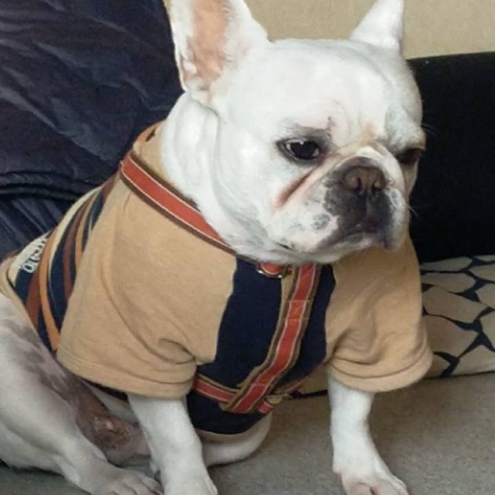 04744eac 2a34 49fe a01c 4b43c4660886 1638142767182