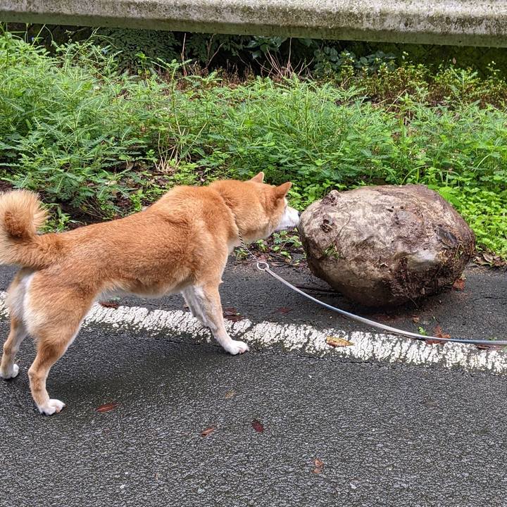 04745d05 d271 4fa7 aa98 e96014fa382d 1662679059027