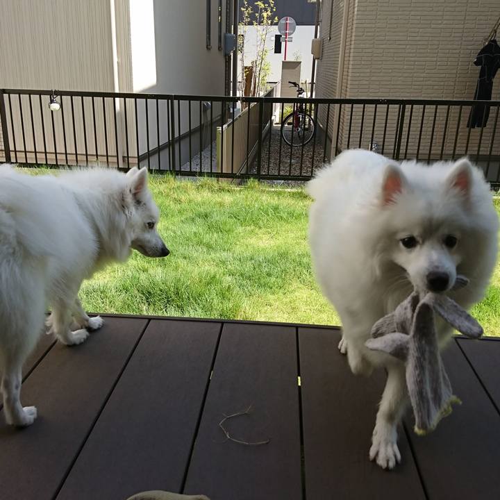 0474744b ab27 4be6 b411 db03e8c94f57 1559541065577