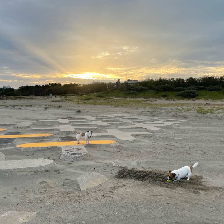 04749602 1b41 4c6c b84c 1b3d8a544082 1760744526004