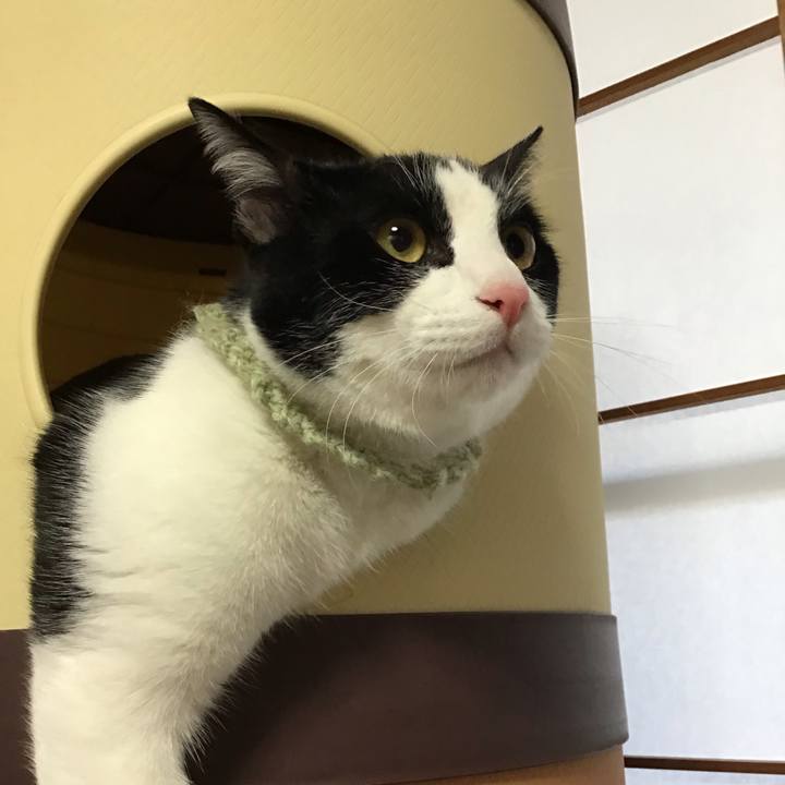 0474bd58 2cef 45b0 b5e9 c11f8601d370 1648073321008