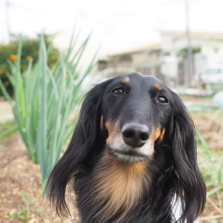 0474f6d6 e2fe 4f66 93dd b08f34604bbc 1639026430129