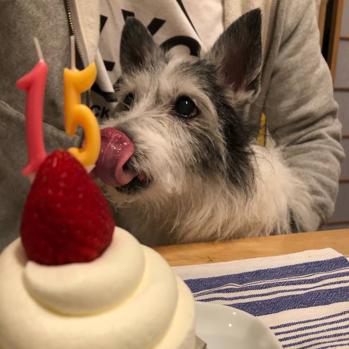 04750404 1af4 4a83 b5f6 4ccbf67f091f 1620217720435