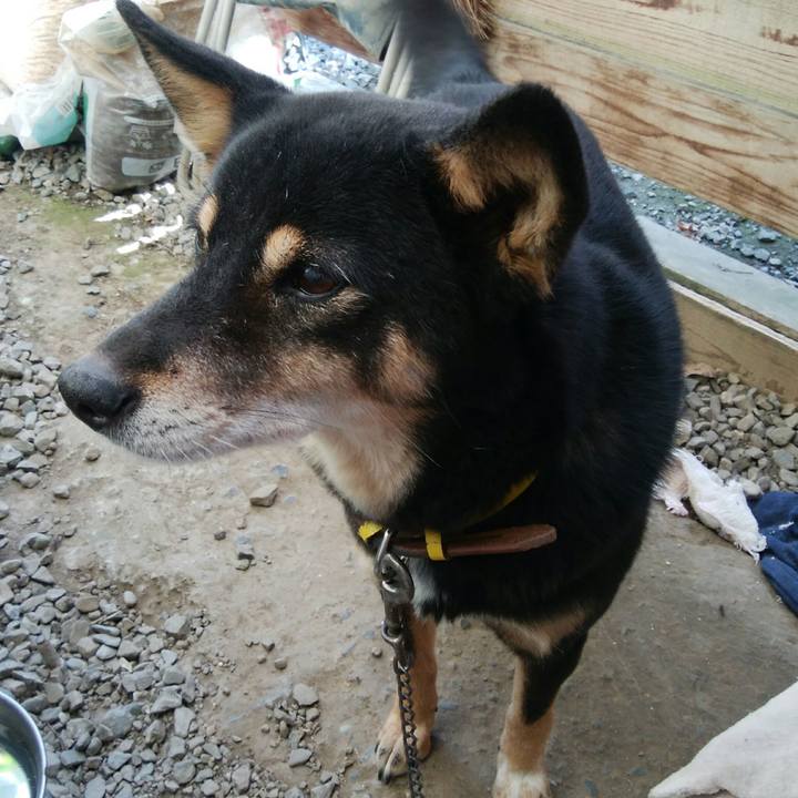 04753721 f8fb 46b9 8e9e d58469e62dc9 1511070269560