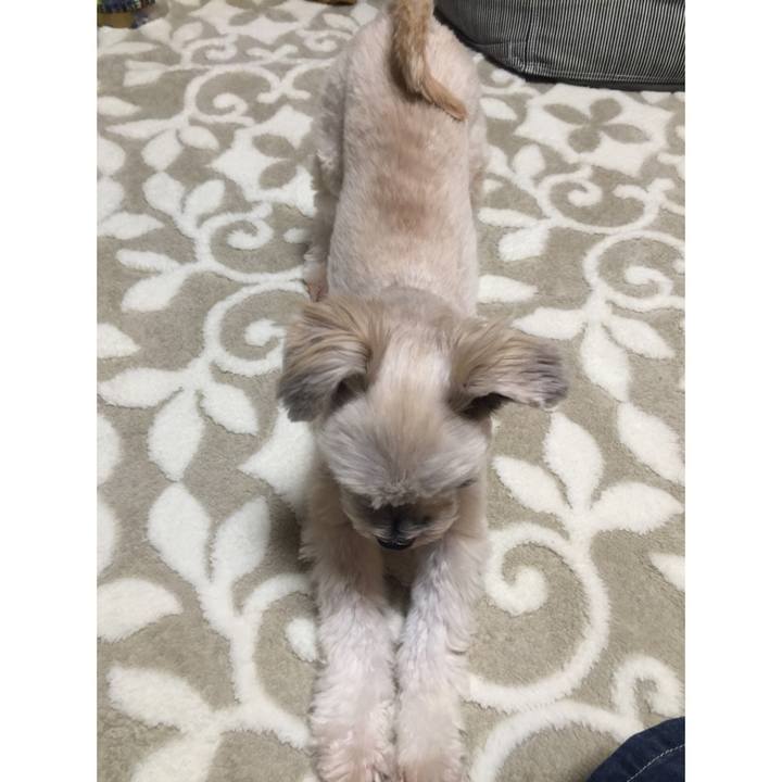 047551b6 7002 4176 ae5c beffee416f7a 1540984010968