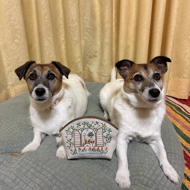 04755301 2174 4164 84c0 68efc0a63d9c 1765025344363