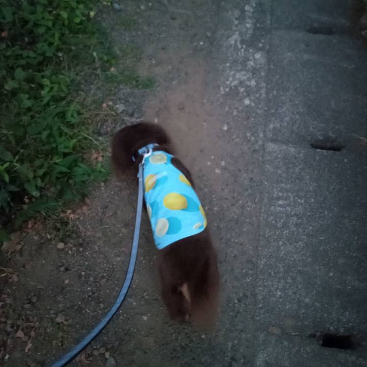 047582d8 b126 4754 8b97 7fda4d7603bb 1756676320003