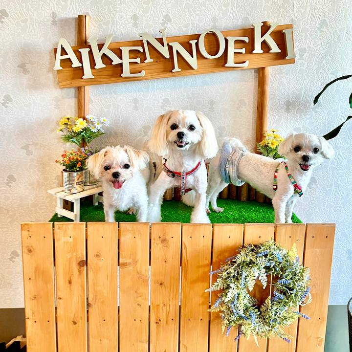 04758bdc a711 466c a72f e49bdede2697 1656642333865