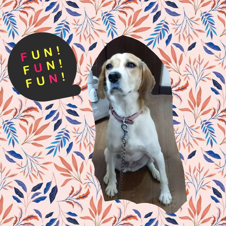 04759d7c e23e 49a5 8933 f0fe1b93c5a4 1601878856897