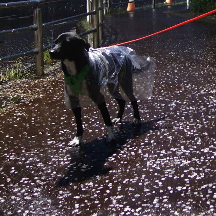 0475a0a1 eef4 43f2 822e 2233675e6f5c 1585734582878