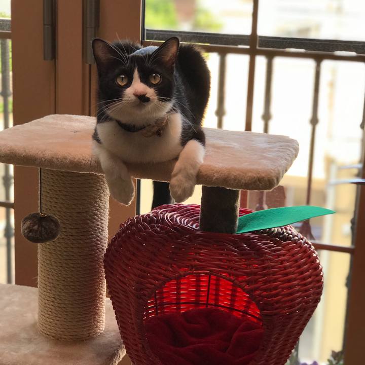 0475b226 34b8 4c2f bf11 fe3322b9ead9 1527923818331