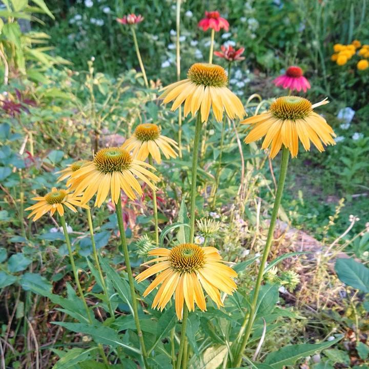 0475d765 d613 40eb baa2 d21fb137e32b 1622454990532