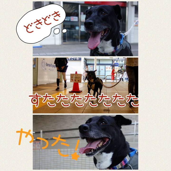 0475e9f3 a367 4e0a b38c 9a99684a4028 1657323711560