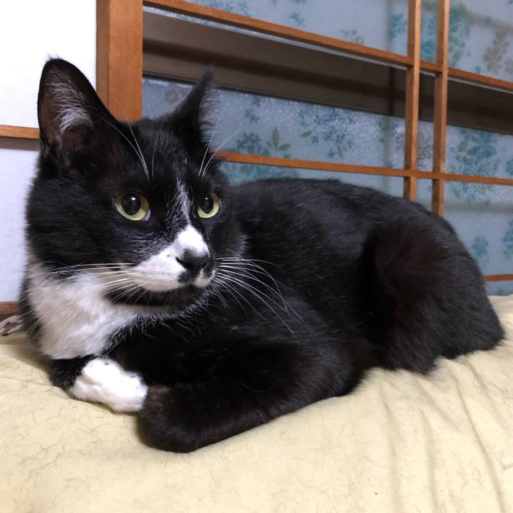 0475f90f 6f1c 4d8a 97a6 62ea8b0a7c06 1591242440186