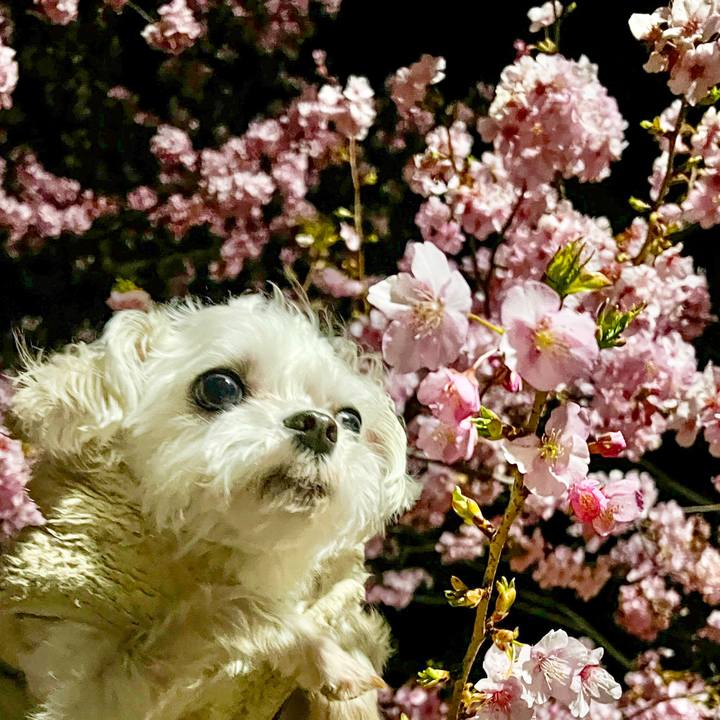 04760984 a479 4d87 b099 cdb8d575aca3 1677642656863