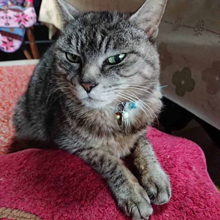 047629e2 717b 448f 929e 726a4268bf23 1556747222144