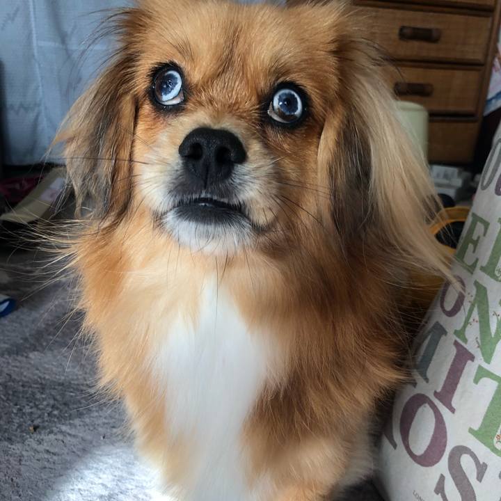 04763281 e0a4 49ec af65 aa3b160f4815 1546222556869