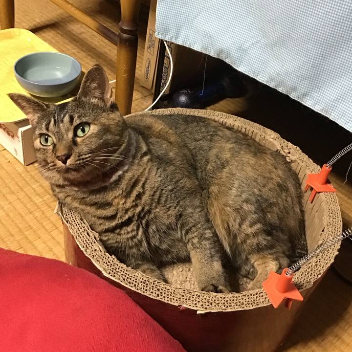 047661c5 0ce4 4a46 92f4 a048f111d7cb 1692622068395