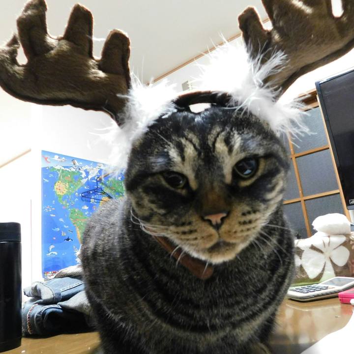 0476b0f3 5e4b 42c4 9f22 d0aaf146fbca 1544527031763