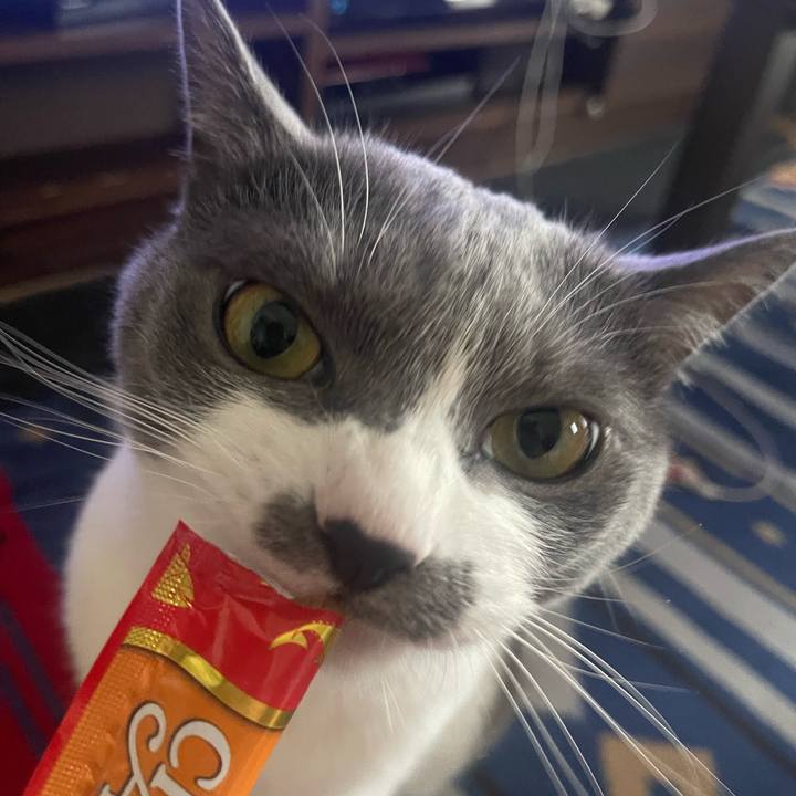 0476b105 1320 49c4 801a cc1502441eed 1687859006175