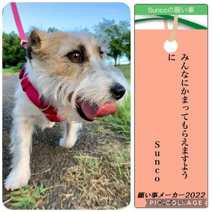 0476c825 108f 4d84 8ffc f6fa40ad77ca 1657201240074