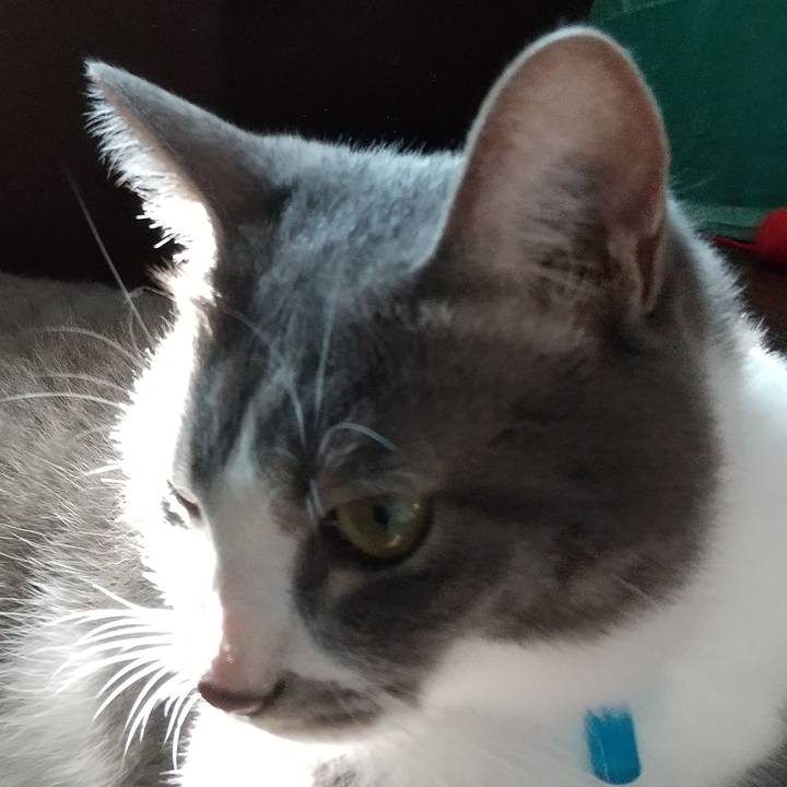 0476cf9d 160c 442a 9369 d09bb2e1391e 1598656529058