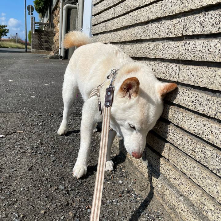 0476e5ec 285f 4455 887b 1c68fad6b995 1634181140135