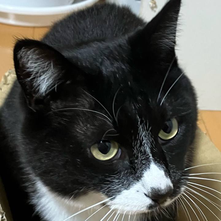 0476f59f 543d 4bb8 9092 d76f0ead5e7f 1749896073053