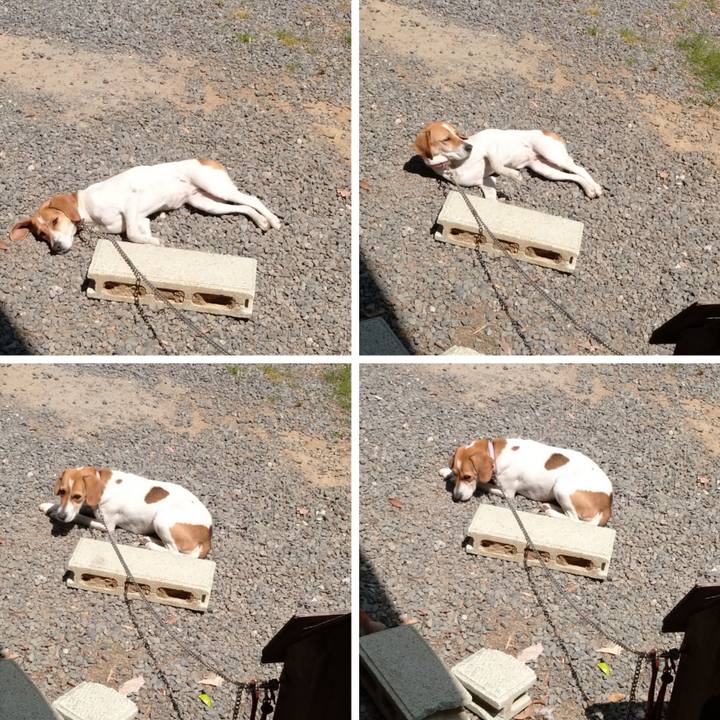 04771940 68a3 401d 97a8 3bc72ca53cf0 1587707768740