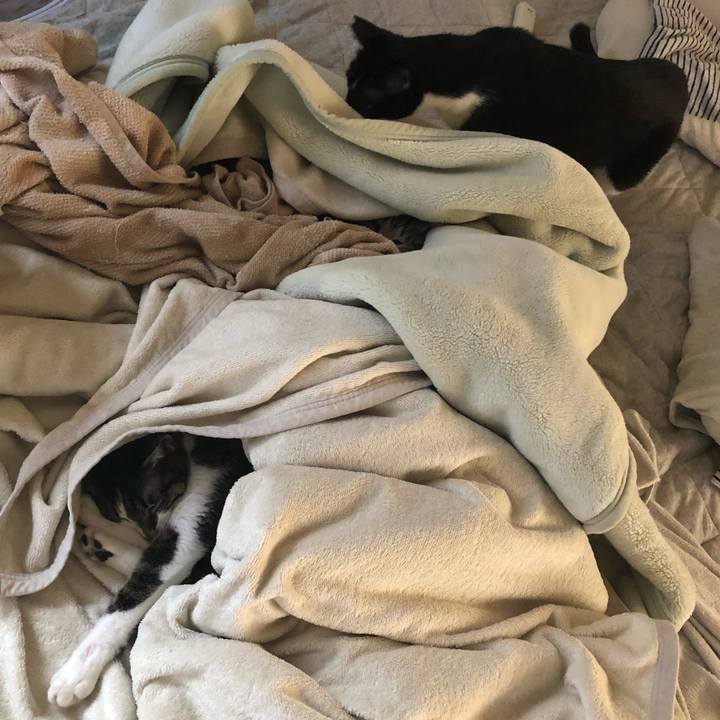 04772f93 7d0f 478f 820c a3643a28ef1e 1540536724256